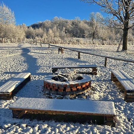 Casuta Din Stejari-Transalpina Villa Novaci-Străini Eksteriør billede
