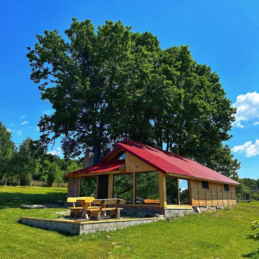 Casuta Din Stejari-Transalpina Villa Novaci-Străini Eksteriør billede