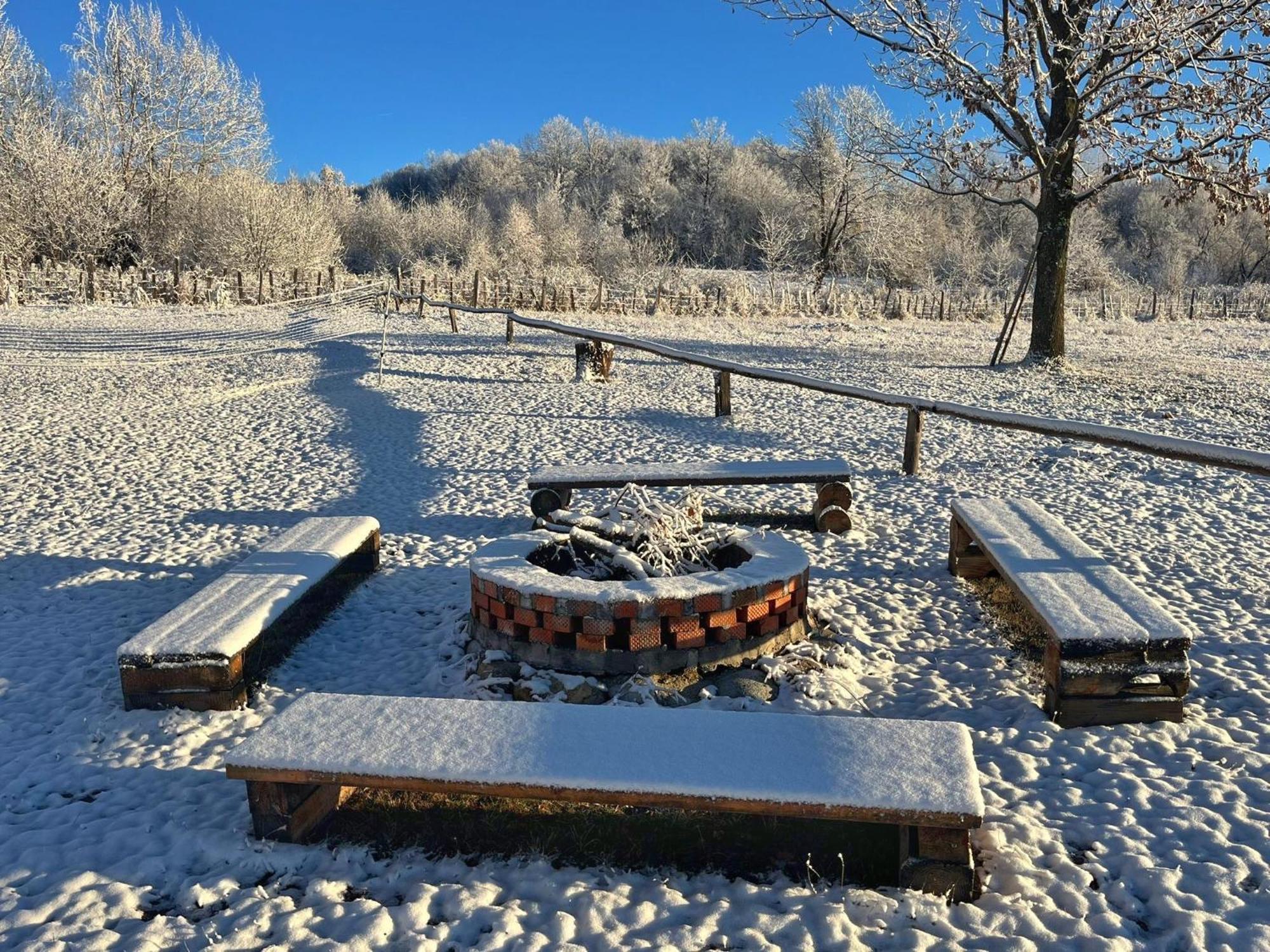 Casuta Din Stejari-Transalpina Villa Novaci-Străini Eksteriør billede
