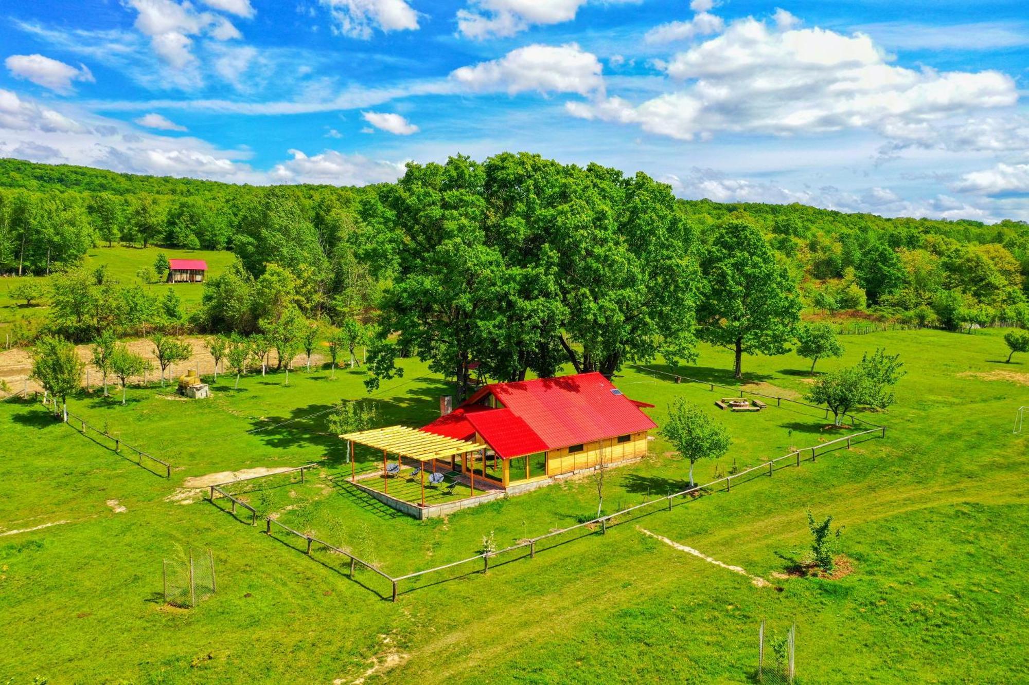 Casuta Din Stejari-Transalpina Villa Novaci-Străini Eksteriør billede